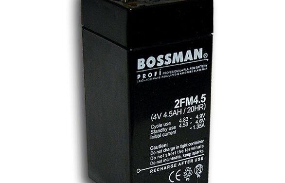 Batería de plomo 4V: Potencia y durabilidad garantizada