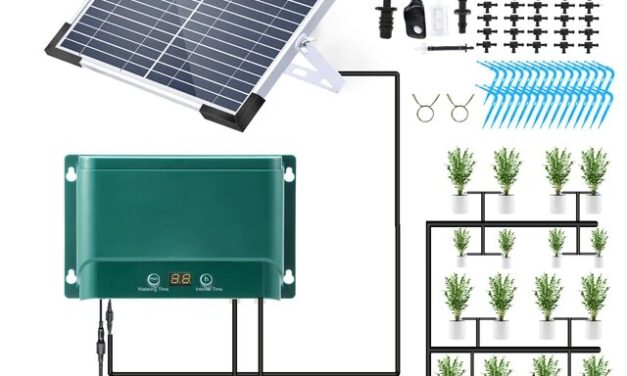 Kit Solar Riego: La solución ecológica para tus plantas