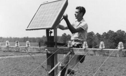 Origen de las placas solares: ¿Quién las creó?